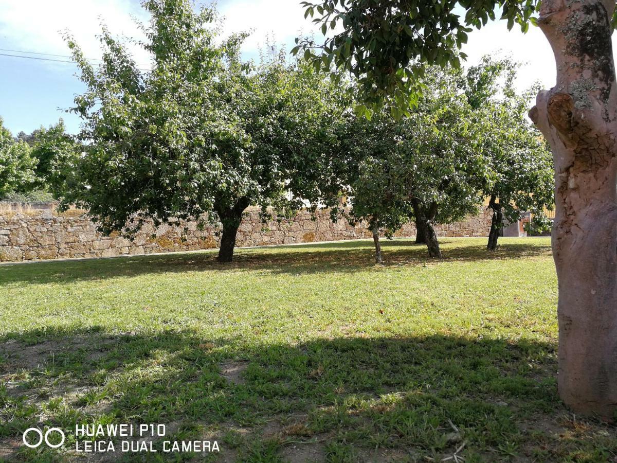 Casas Marias De Portugal - Cerveira Apartment Вила Нова де Сервейра Екстериор снимка